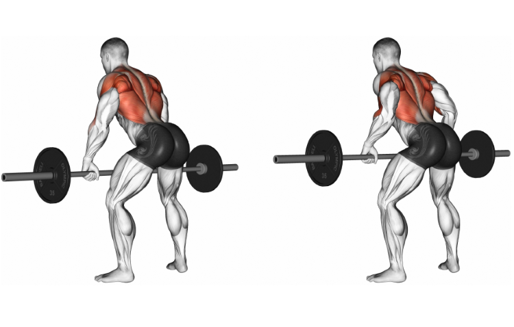 back workout with barbell