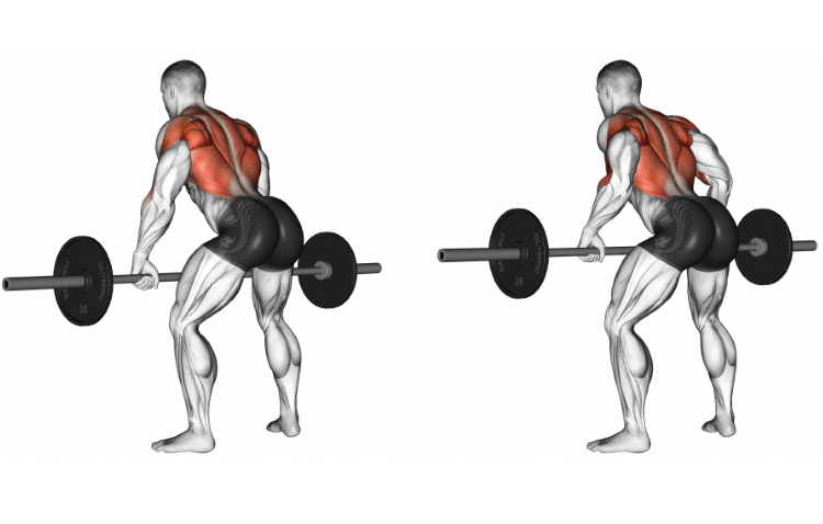 Back Workout with Barbell 7 Best Back Barbell Exercises